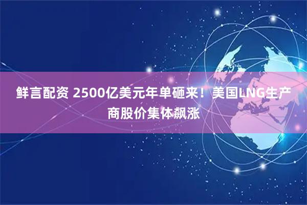 鲜言配资 2500亿美元年单砸来！美国LNG生产商股价集体飙涨