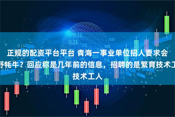 正规的配资平台平台 青海一事业单位招人要求会抓野牦牛？回应称是几年前的信息，招聘的是繁育技术工人