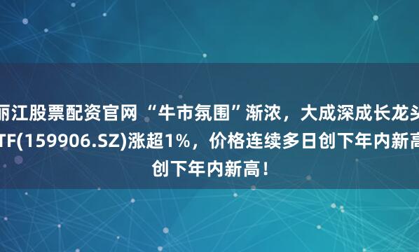丽江股票配资官网 “牛市氛围”渐浓，大成深成长龙头ETF(159906.SZ)涨超1%，价格连续多日创下年内新高！
