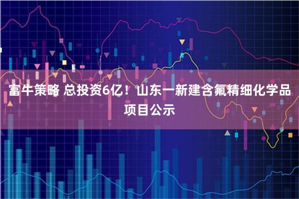 富牛策略 总投资6亿！山东一新建含氟精细化学品项目公示