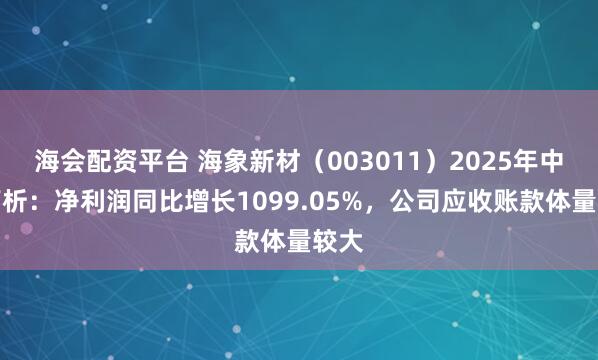 海会配资平台 海象新材（003011）2025年中报简析：净利润同比增长1099.05%，公司应收账款体量较大