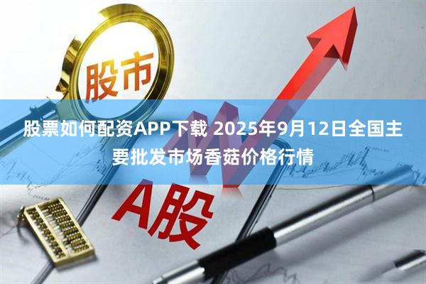 股票如何配资APP下载 2025年9月12日全国主要批发市场香菇价格行情